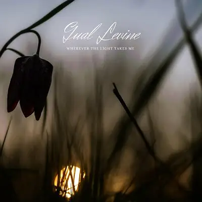 Whatever Light Takes Me